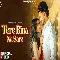 Tere Bina Na Sare Nandini Sharma Ft Aman Jaji New Haryanvi Songs Haryanavi 2025 By Shiva Choudhary Poster